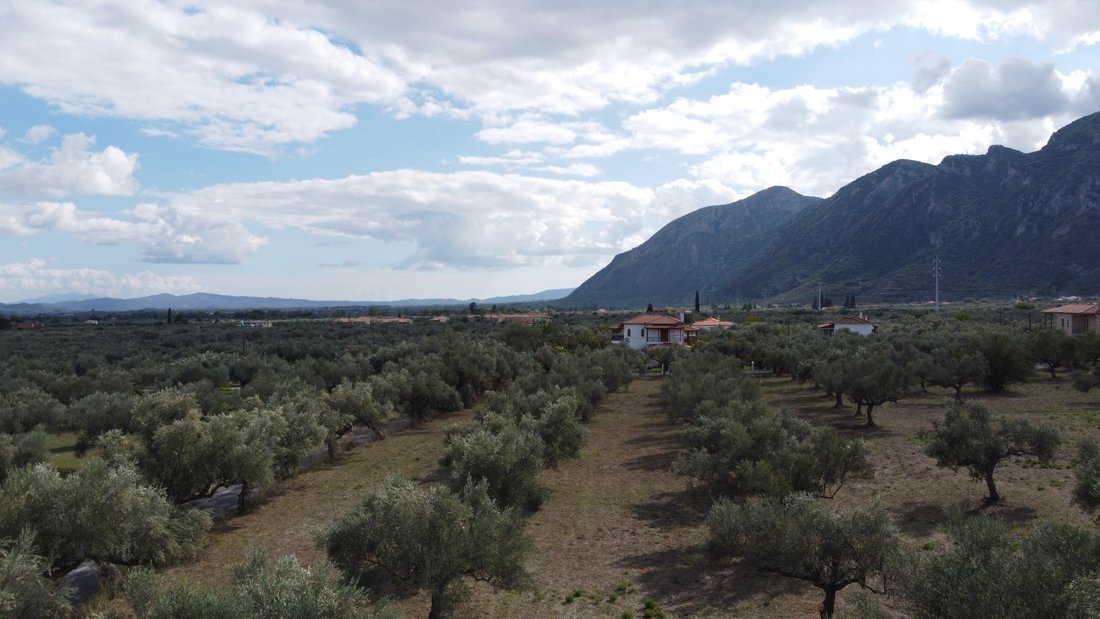 Land in Community of Mystras, Peloponnese, Western Greece and the Ionian, Griechenland 1 - 18774981