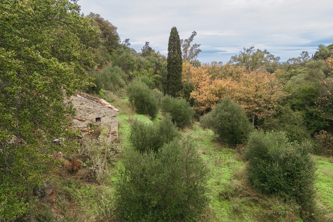 Land in Mitaton, Kythira, Griechenland 1 - 18775358
