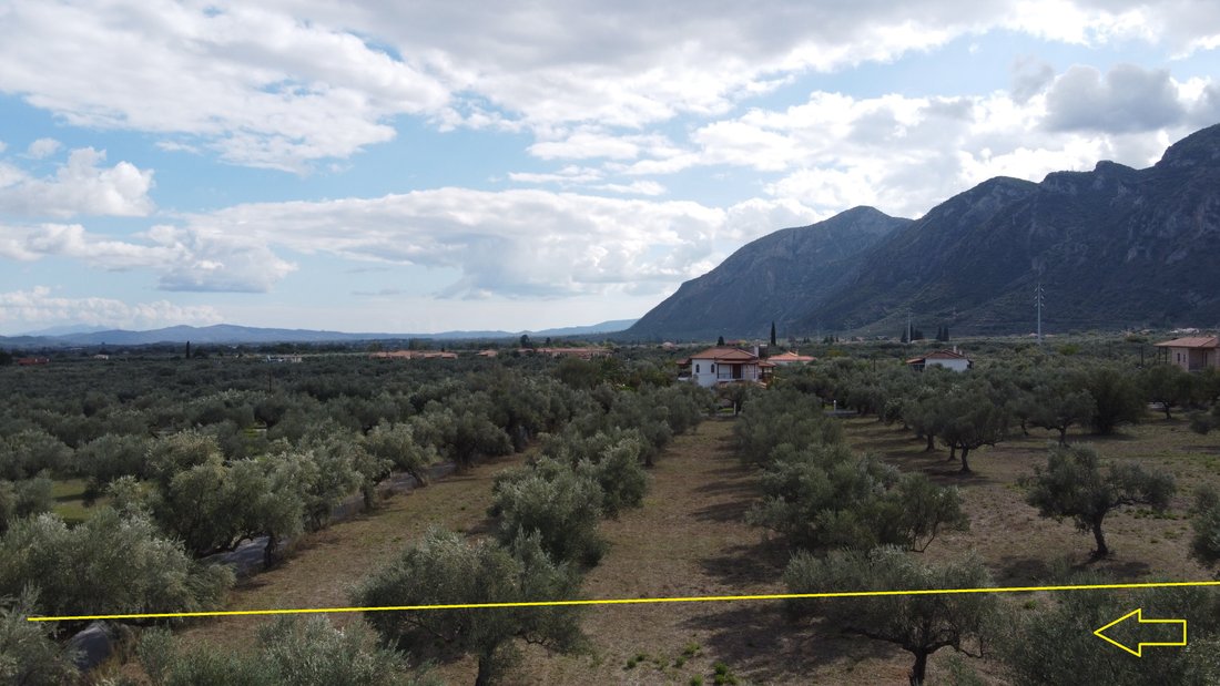 Land in Community of Mystras, Peloponnese, Western Greece and the Ionian, Griechenland 2 - 18774981