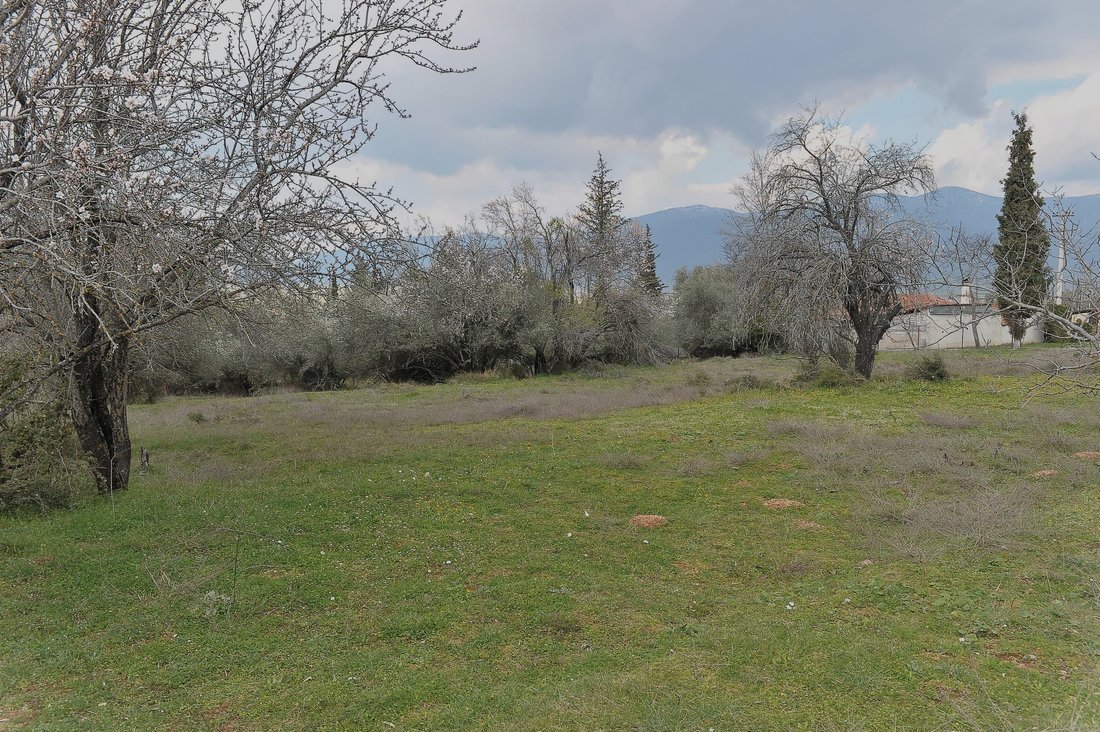 Terreno en Loutron Hraias, Iraia, Peloponnese, Western Greece and the Ionian 2 - 18774866