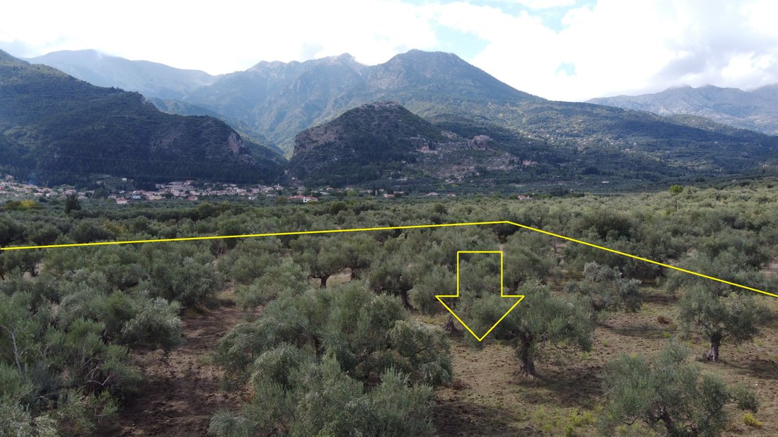Land in Community of Mystras, Peloponnese, Western Greece and the Ionian, Griechenland 5 - 18774981