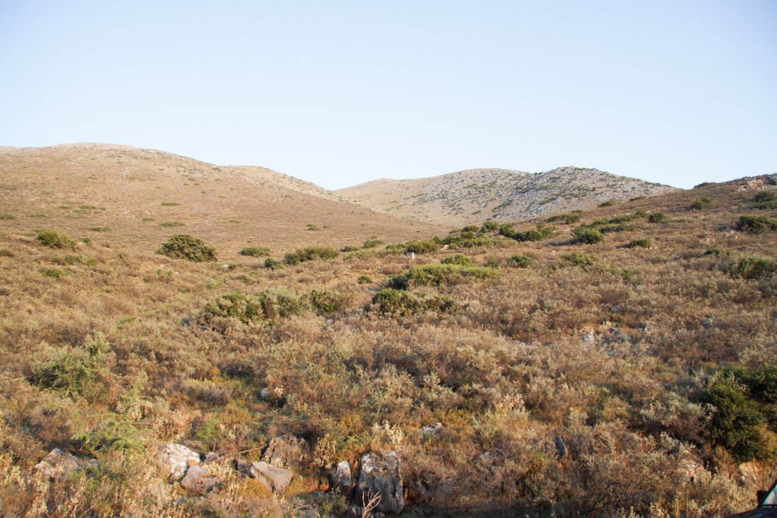 Land in Oitylos, Peloponnese, Western Greece and the Ionian, Griechenland 2 - 18775047