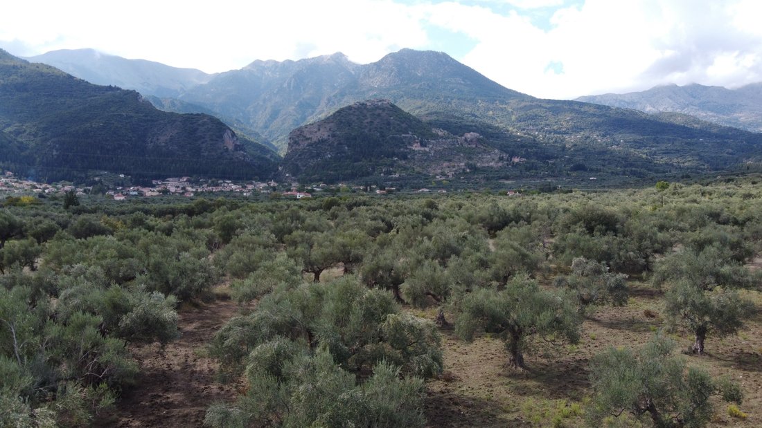 Land in Community of Mystras, Peloponnese, Western Greece and the Ionian, Griechenland 4 - 18774981