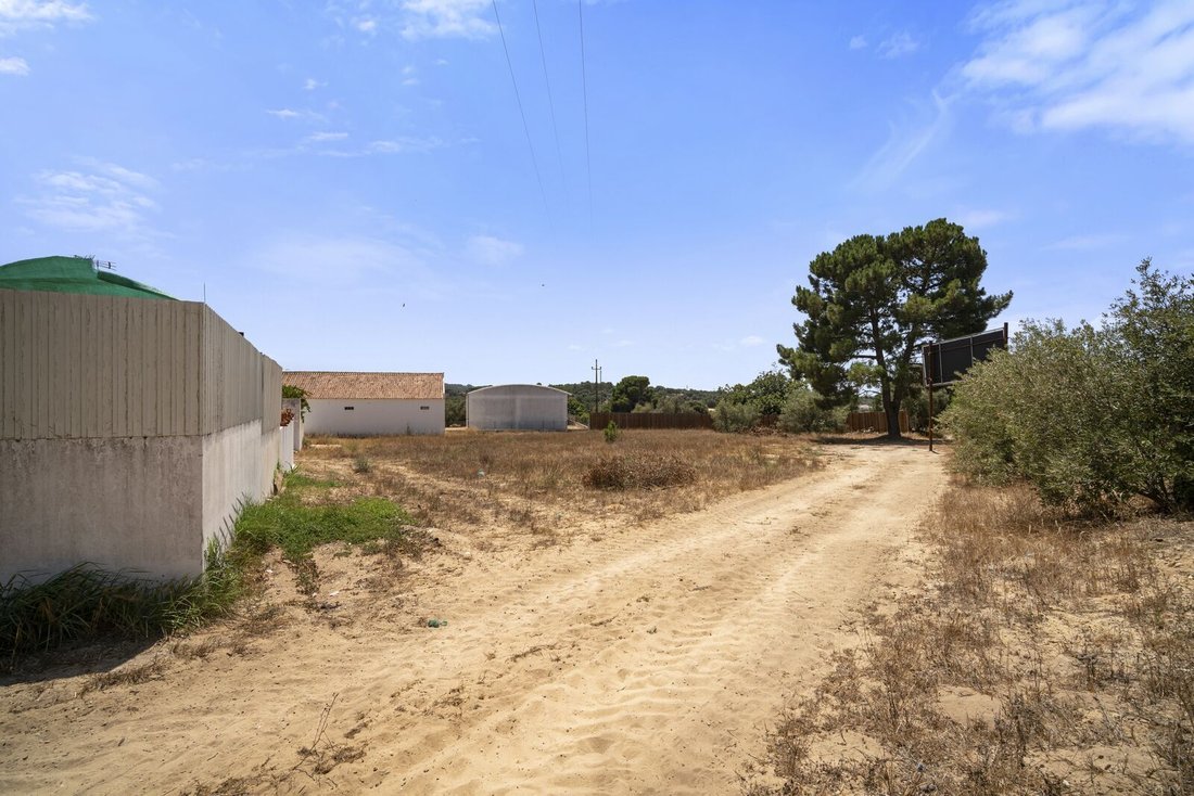 Andere in Melides, Setúbal Municipality, Portugal 3 - 18775025