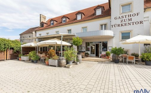 Purbach am Neusiedler See, Burgenland, Austria 1