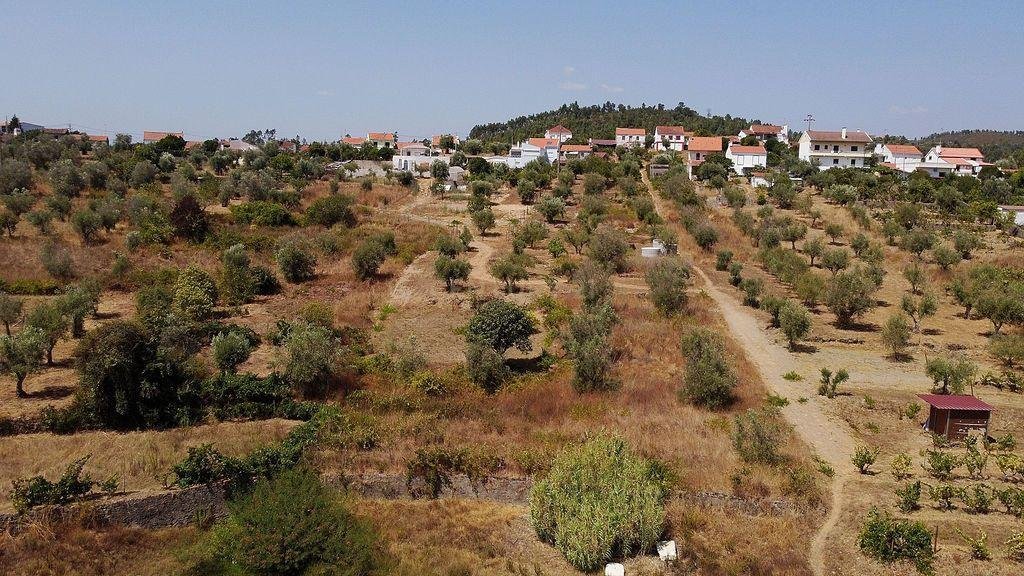 Villa en Fontes, Distrito de Santarém, Portugal 4 - 18774785