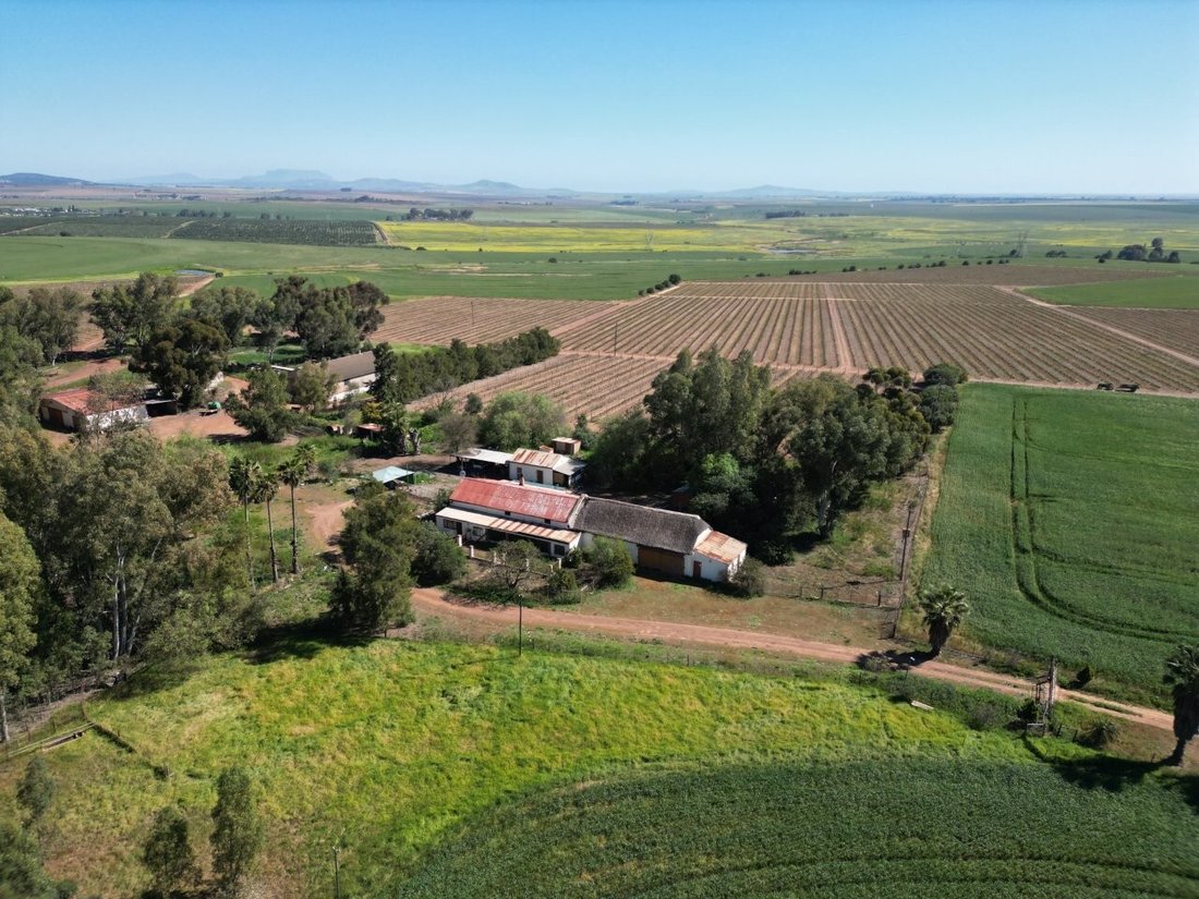 Azienda agricola a Southern Paarl, Provincia del Capo Occidentale, Sudafrica 3 - 18775520