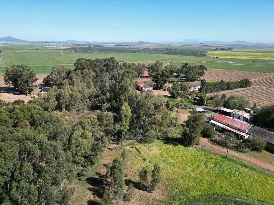 Azienda agricola a Southern Paarl, Provincia del Capo Occidentale, Sudafrica 5 - 18775520