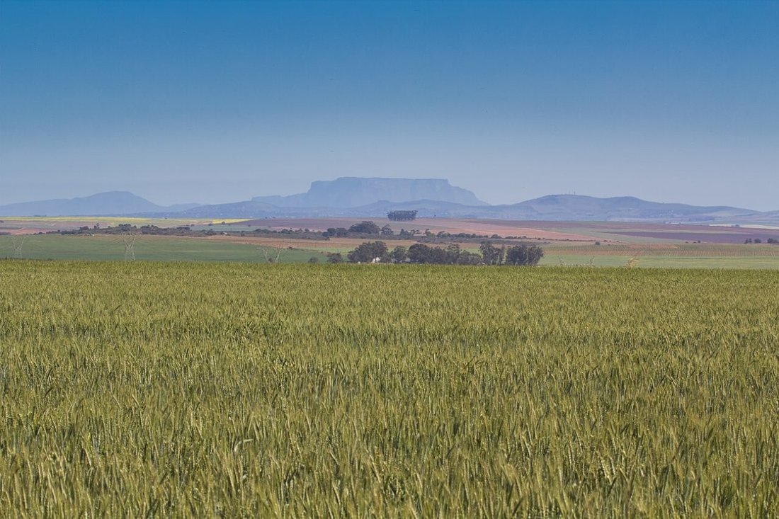 Azienda agricola a Southern Paarl, Provincia del Capo Occidentale, Sudafrica 1 - 18775520