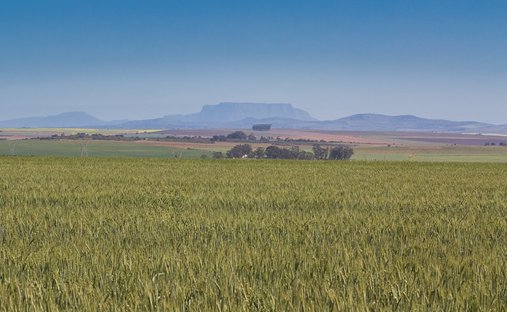 Azienda agricola in Southern Paarl, Provincia del Capo Occidentale, Sudafrica 1