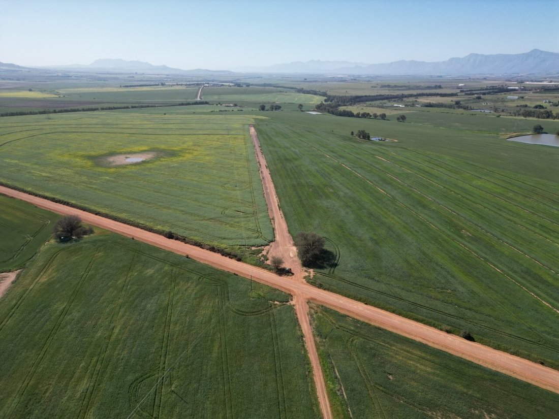 Azienda agricola a Southern Paarl, Provincia del Capo Occidentale, Sudafrica 2 - 18775520