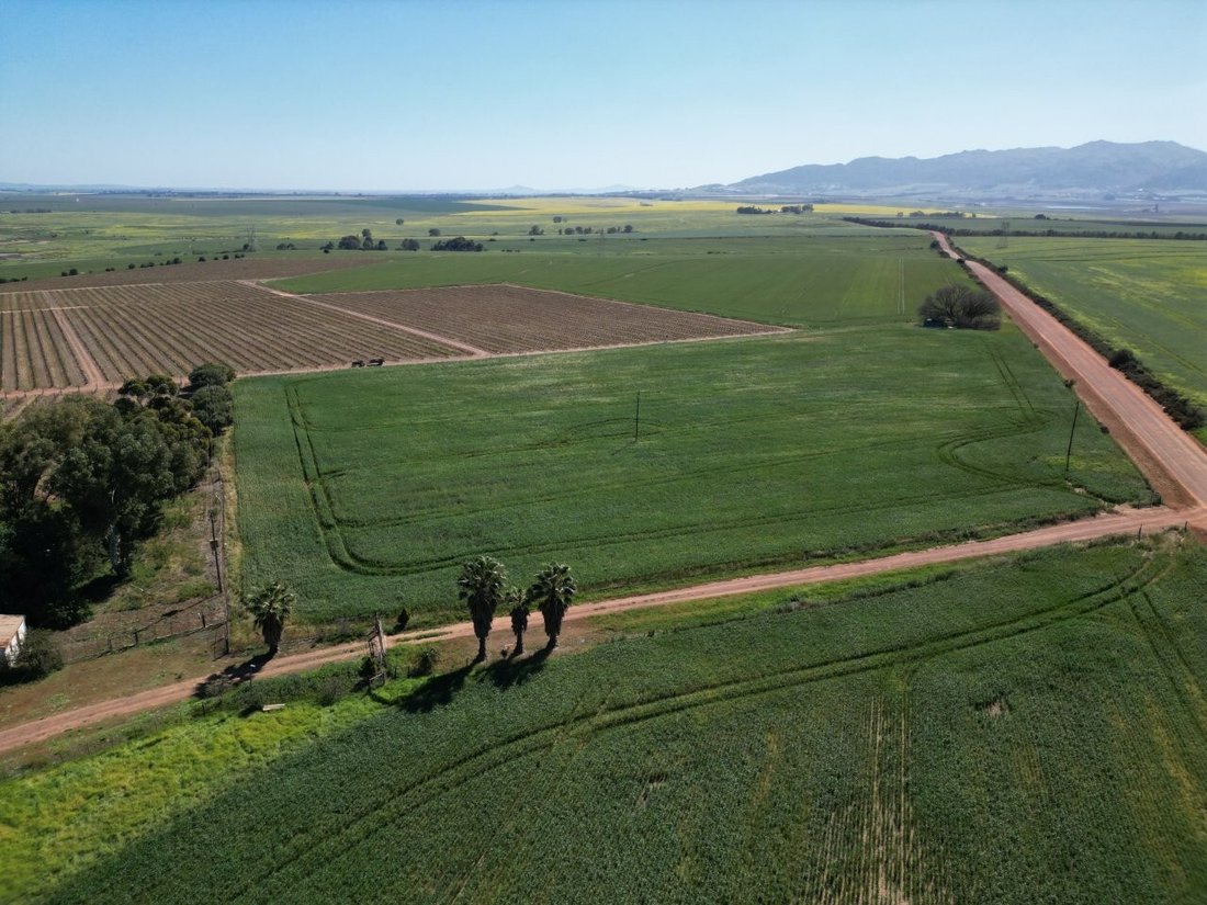 Azienda agricola a Southern Paarl, Provincia del Capo Occidentale, Sudafrica 4 - 18775520