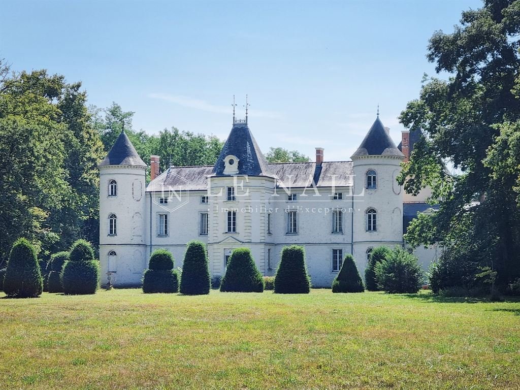 Castle in Centre, Tours, France 1 - 14702427