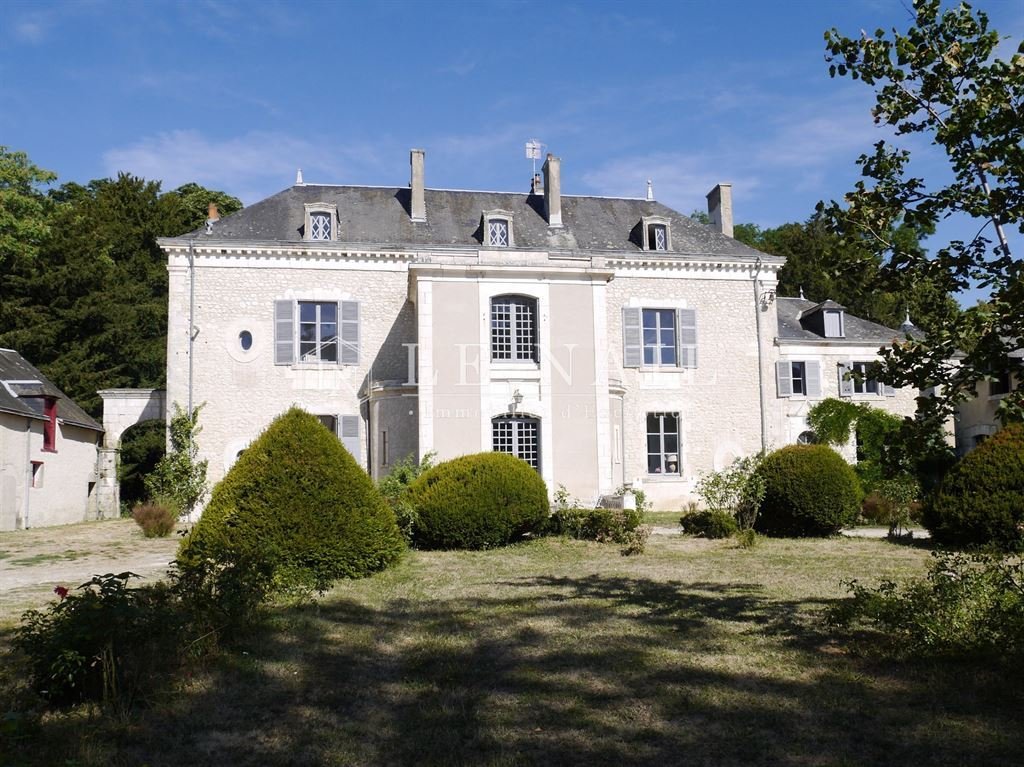 Schloss in Le Blanc, Zentrum-Loiretal, Frankreich 1 - 18504134