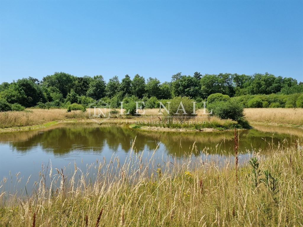Altro a Lorris, Centro-Val della Loira, Francia 4 - 18460724
