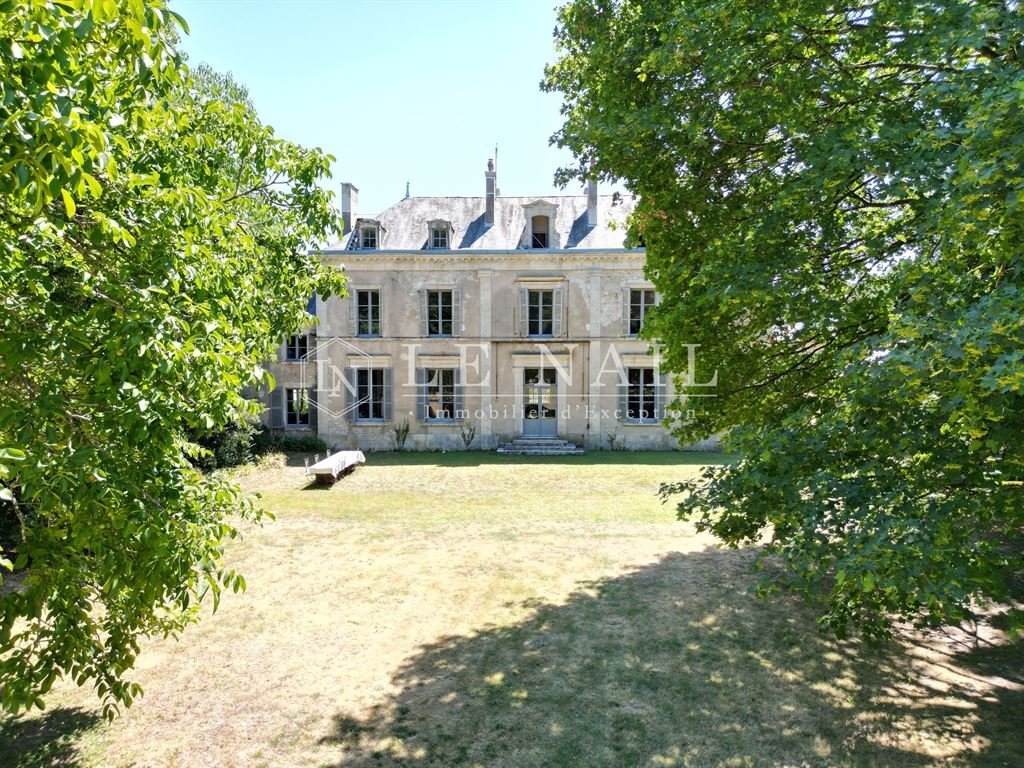 Schloss in Le Blanc, Zentrum-Loiretal, Frankreich 3 - 18504134