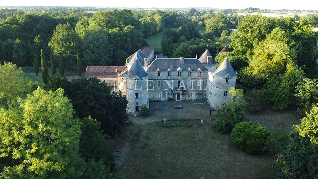 Castle in Chantonnay, Pays de la Loire, France 2 - 15990604