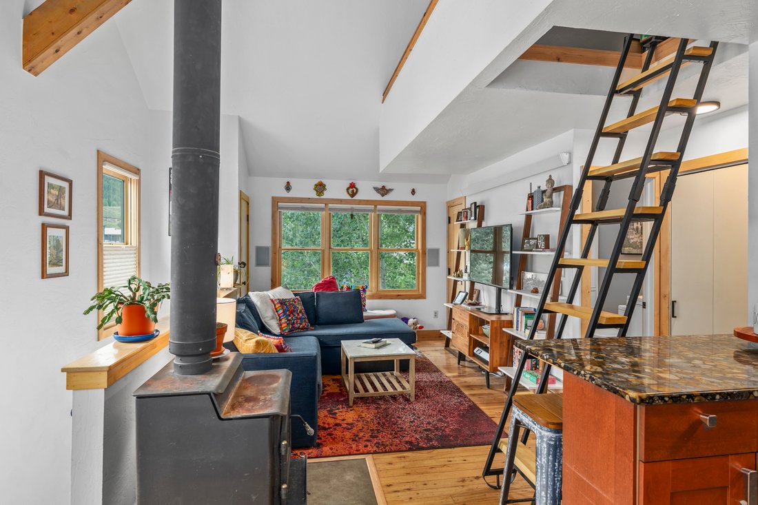Appartement à Crested Butte, Colorado, États-Unis 1 - 18774624