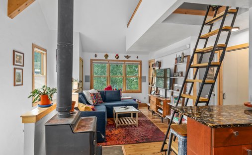 Condo in Crested Butte, Colorado, United States 1