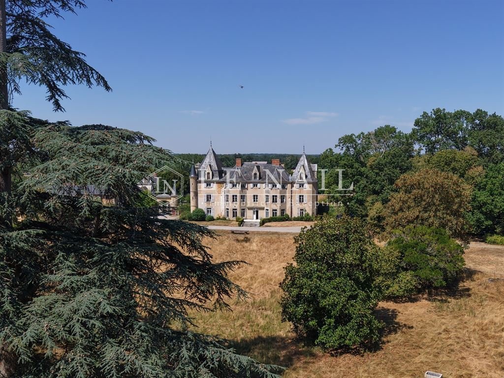 Château à Meslay-du-Maine, Pays de la Loire, France 1 - 18775092