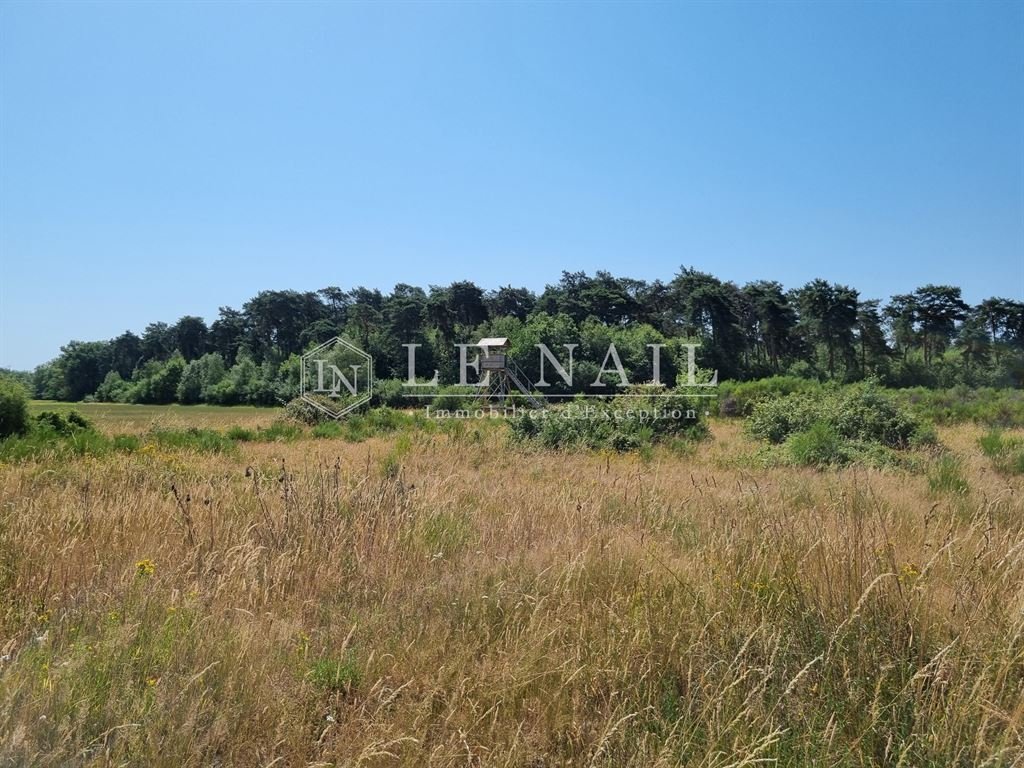 Altro a Lorris, Centro-Val della Loira, Francia 2 - 18460724