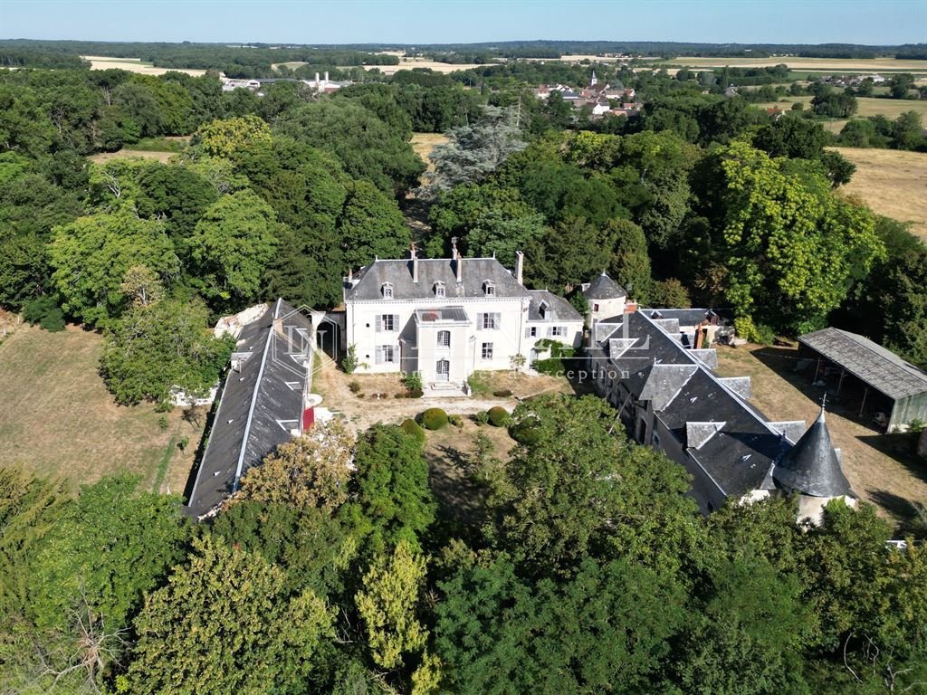 Schloss in Le Blanc, Zentrum-Loiretal, Frankreich 2 - 18504134