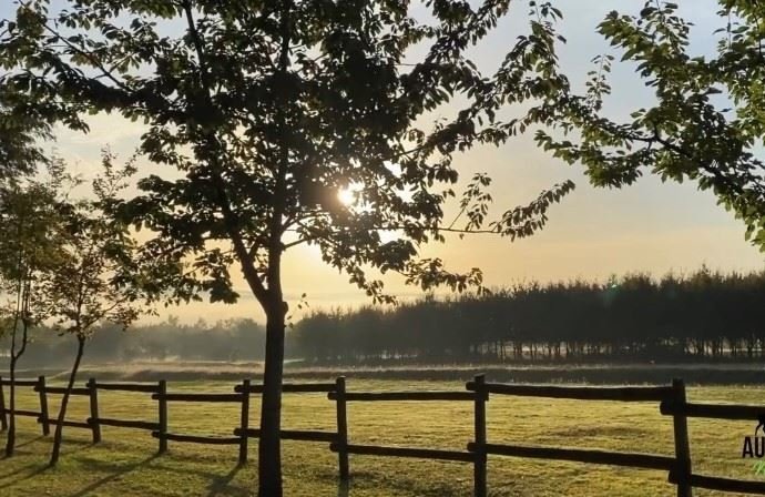 Domaine à Mignotte, Migennes, France 4 - 14617541