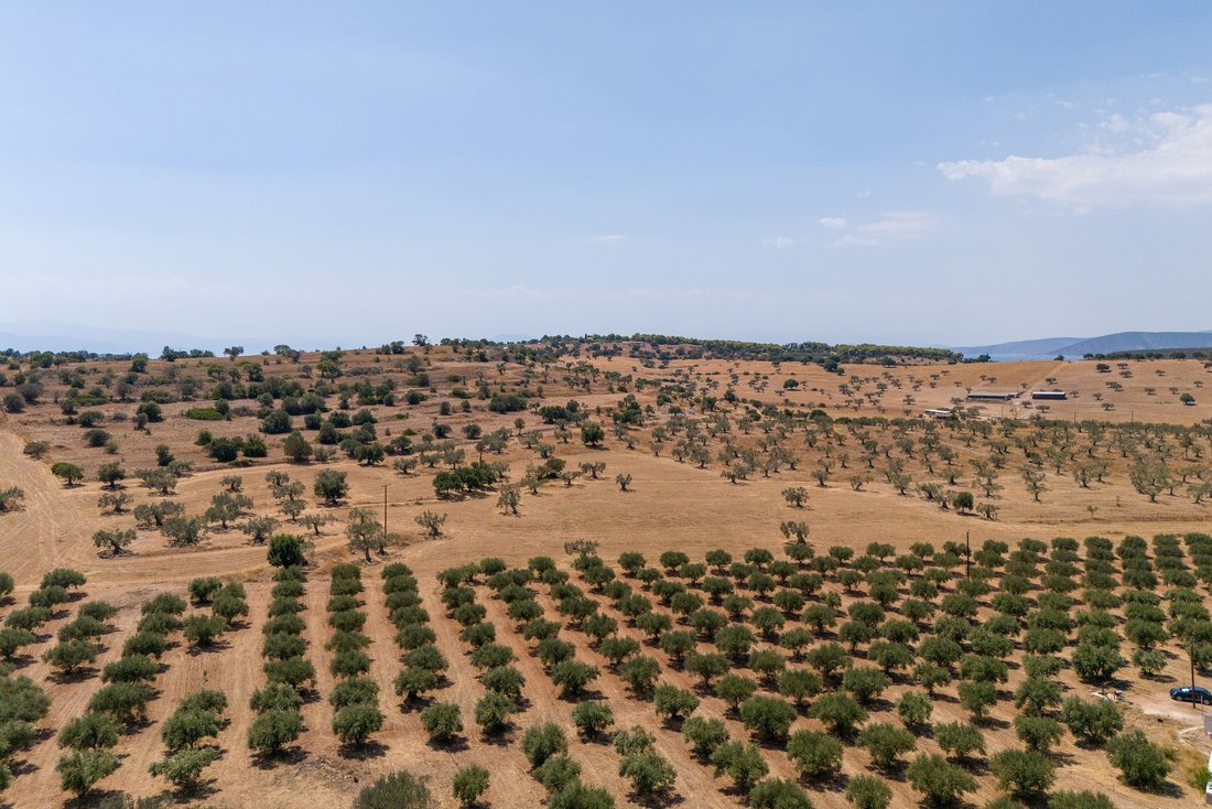 Land in Community of Midea, Midea, Griechenland 4 - 18775713