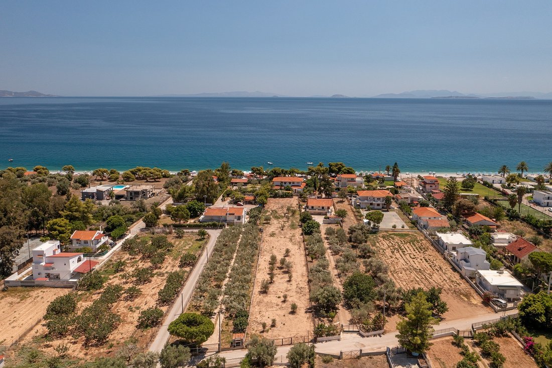 Land in Community of Kineta, Megara, Griechenland 2 - 18775729