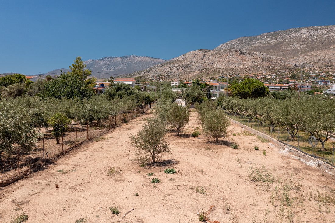 Land in Community of Kineta, Megara, Griechenland 4 - 18775729