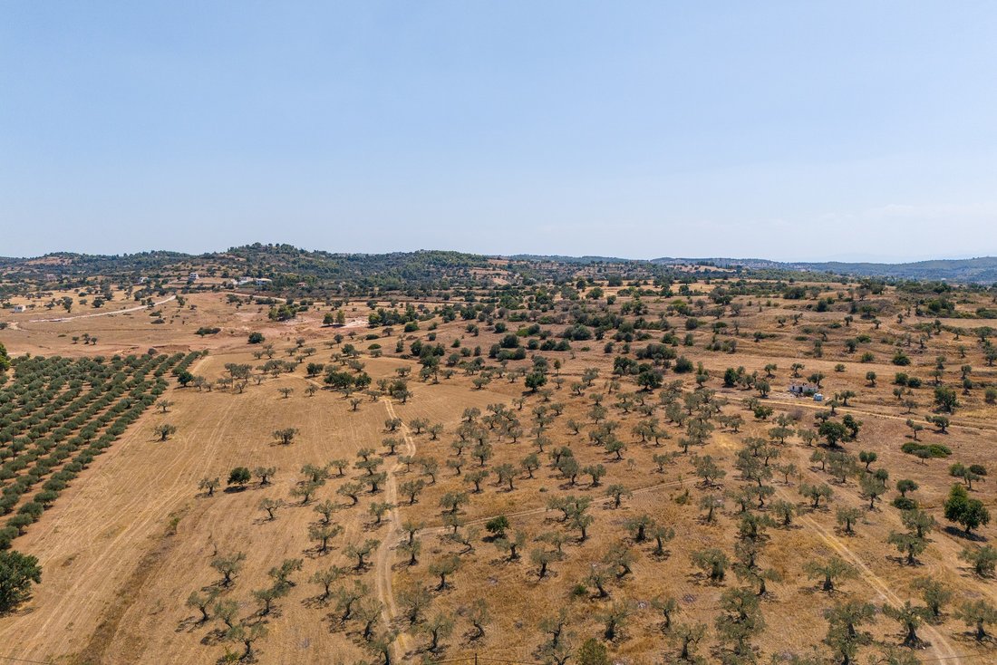 Land in Community of Midea, Midea, Griechenland 5 - 18775713