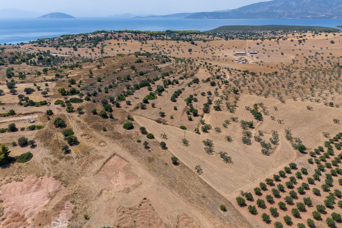 Land in Community of Midea, Midea, Griechenland 2 - 18775713