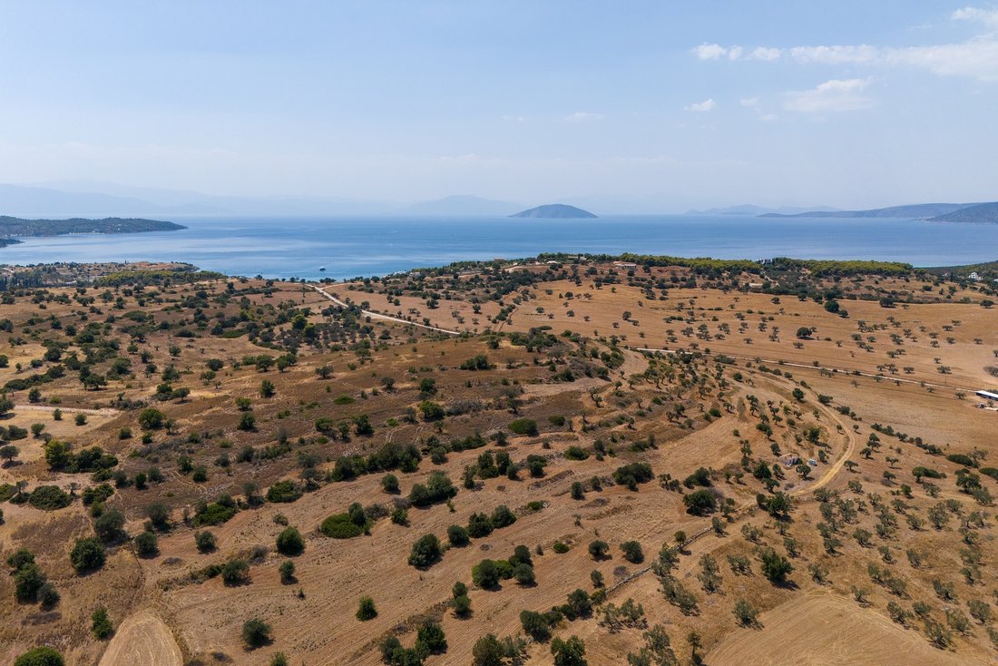 Land in Community of Midea, Midea, Griechenland 1 - 18775713