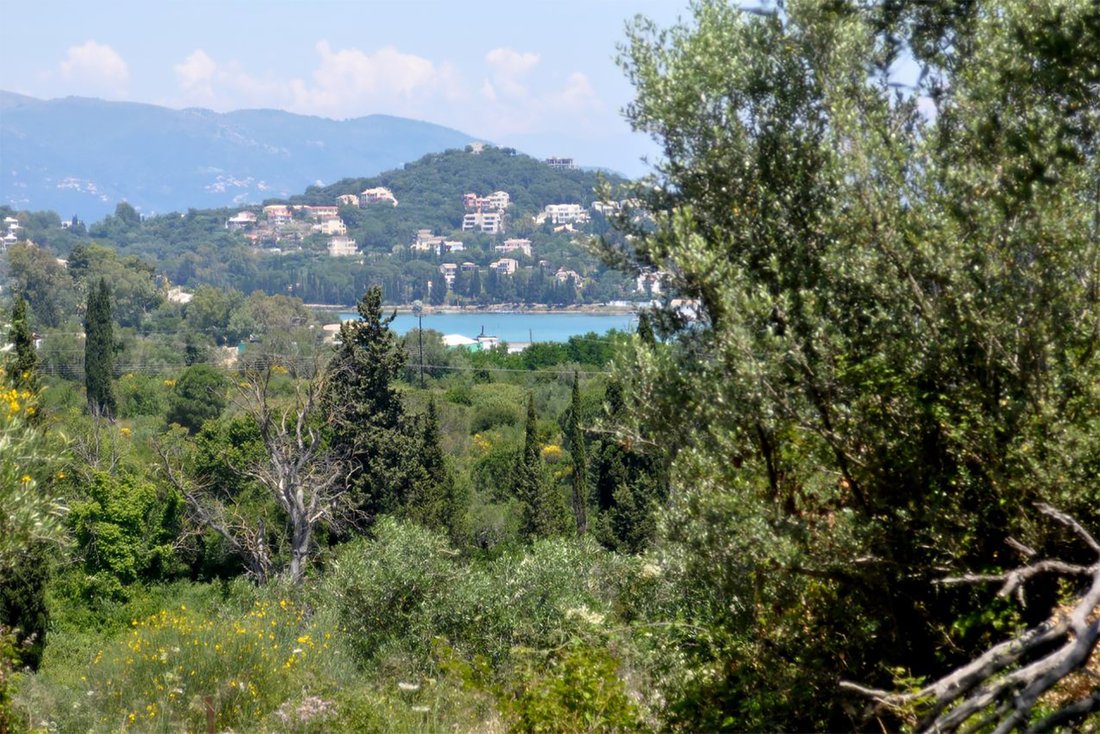 Land in Korfu, Peloponnese, Western Greece and the Ionian, Griechenland 1 - 18775751