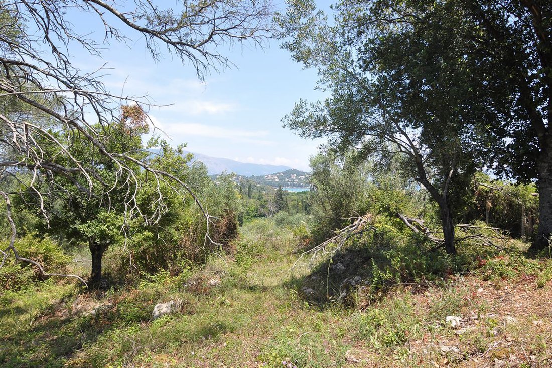 Land in Korfu, Peloponnese, Western Greece and the Ionian, Griechenland 4 - 18775751