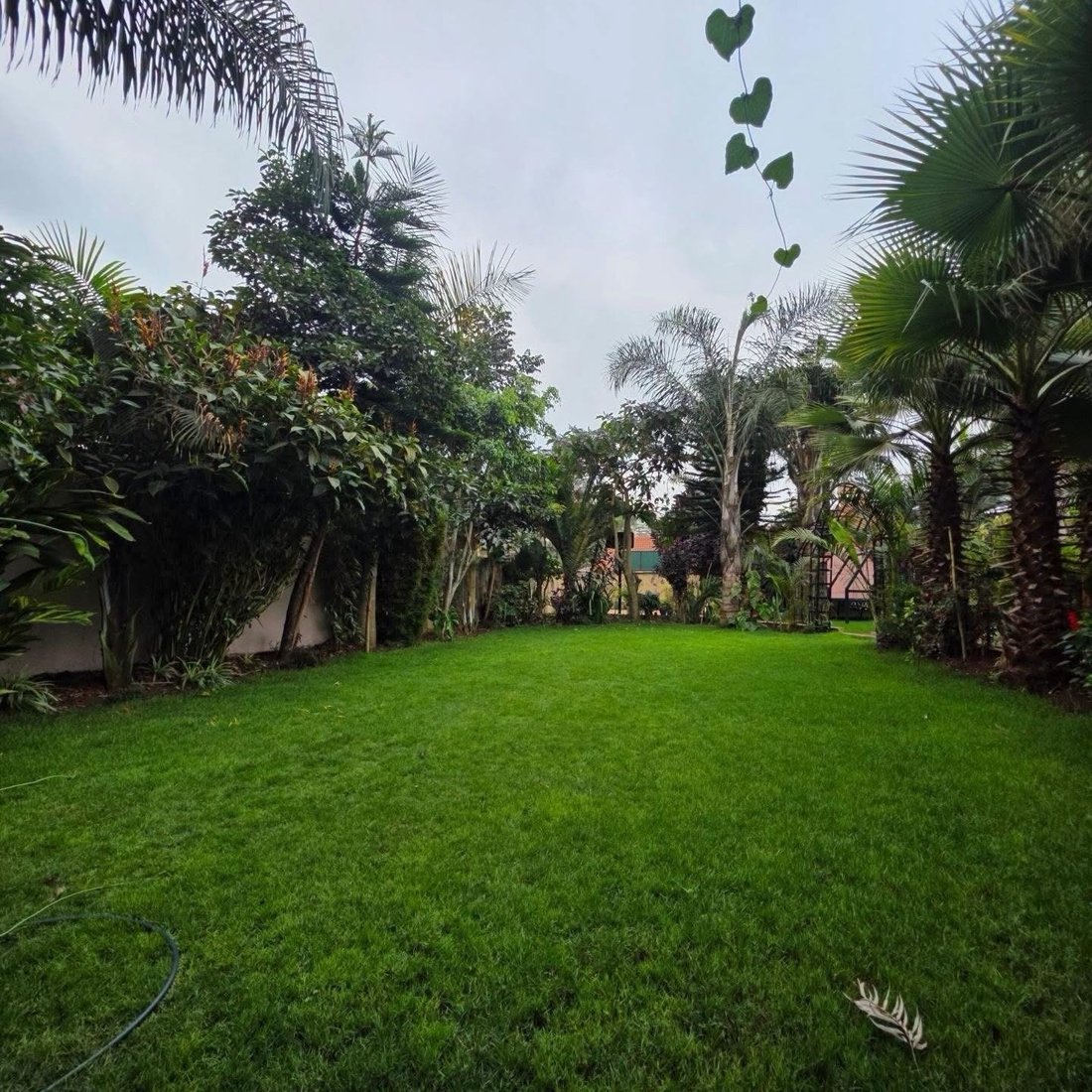House in Nairobi, Nairobi County, Kenya 4 - 18777764
