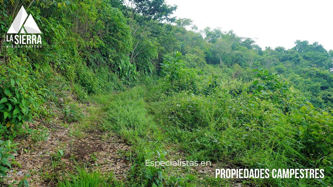 Land in Santa Rita, Puebla, Mexiko 4 - 18777200