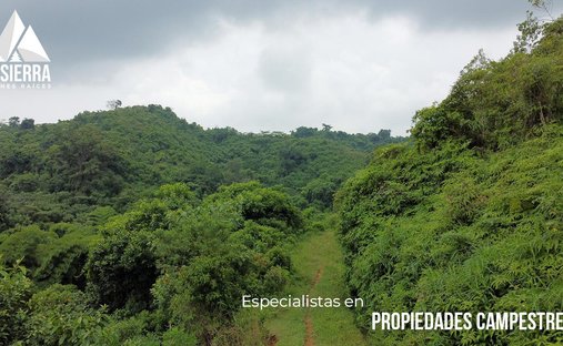 Land in Santa Rita, Puebla, Mexiko 1