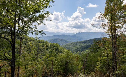 Terreno en Townsend, Tennessee, Estados Unidos 1