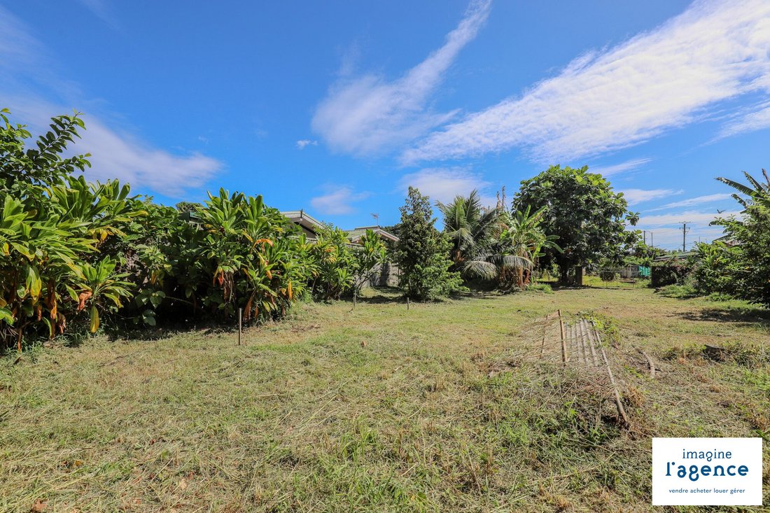 Land in Arue, Inseln über dem Winde, Französisch-Polynesien 5 - 18781294