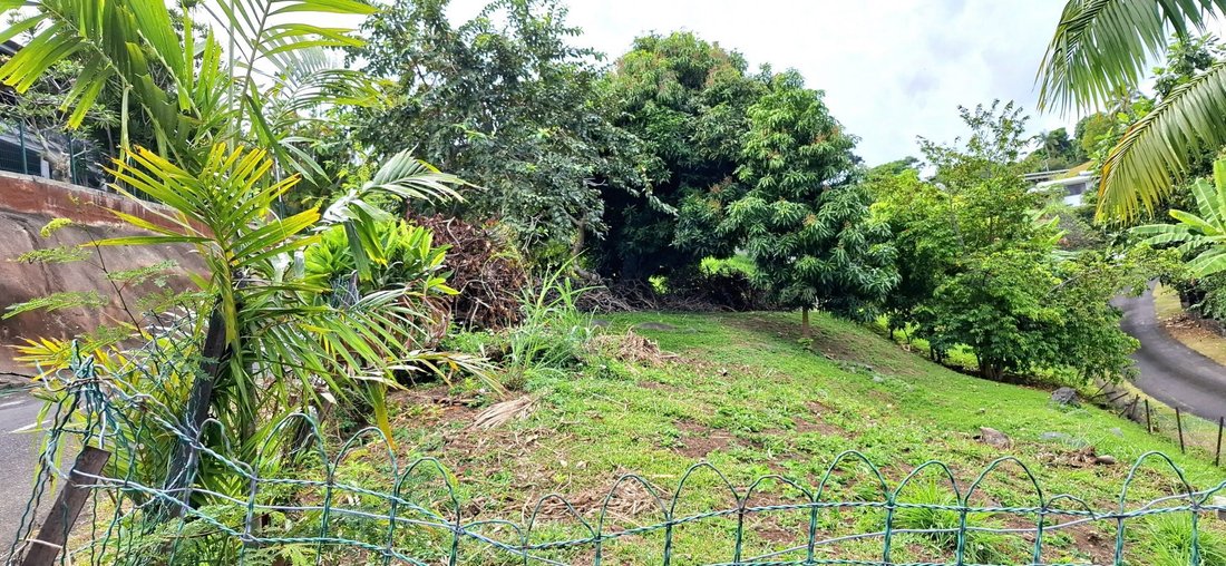 Land in Punaauia, Inseln über dem Winde, Französisch-Polynesien 3 - 18781296