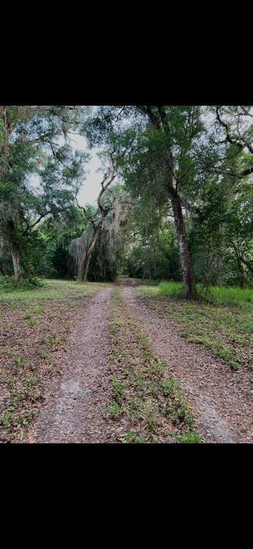 Terrain à Spring Hill, Floride, États-Unis 1 - 18778390