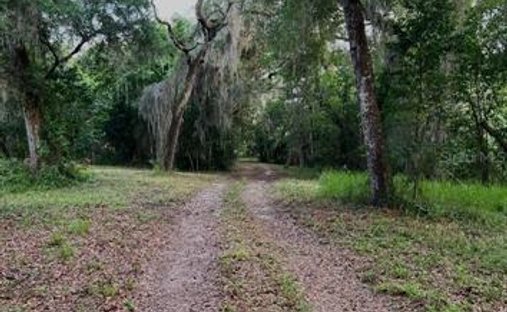Terrain à Spring Hill, Floride, États-Unis 1