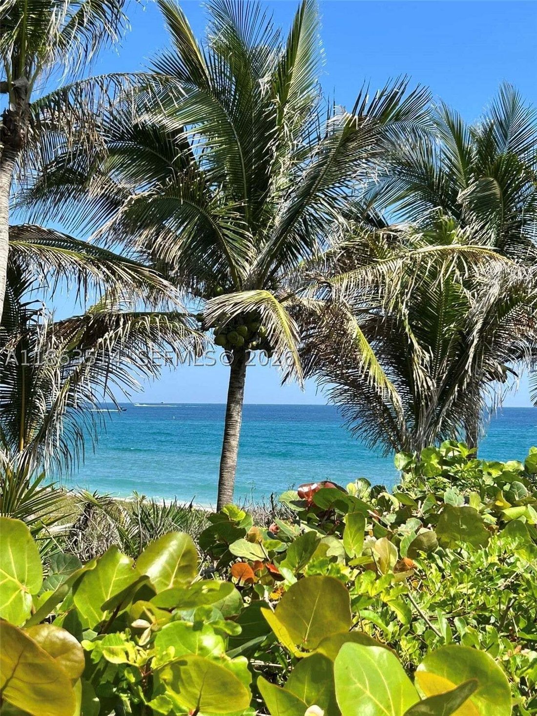 Condo in Hillsboro Beach, Florida, United States 2 - 16640415