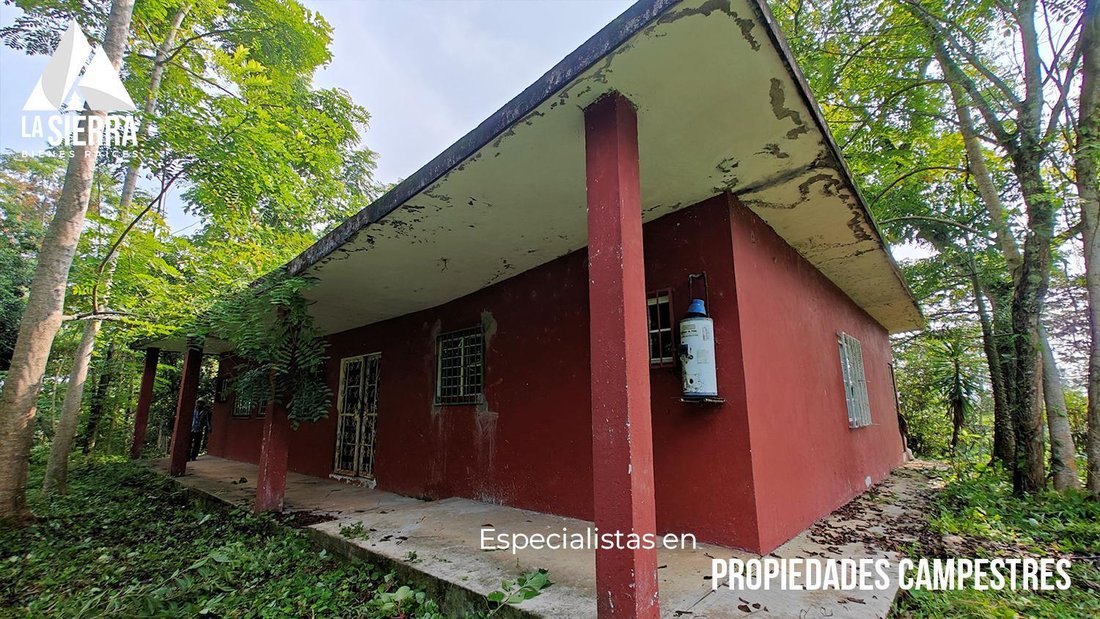 Azienda agricola a Loma Bonita, Puebla, Messico 1 - 18776973