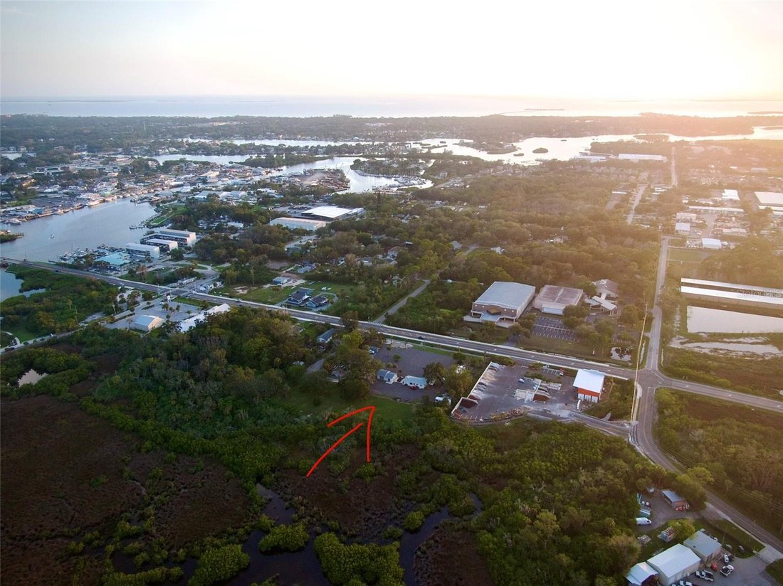 Haus in Tarpon Springs, Florida, Vereinigte Staaten 5 - 18612594
