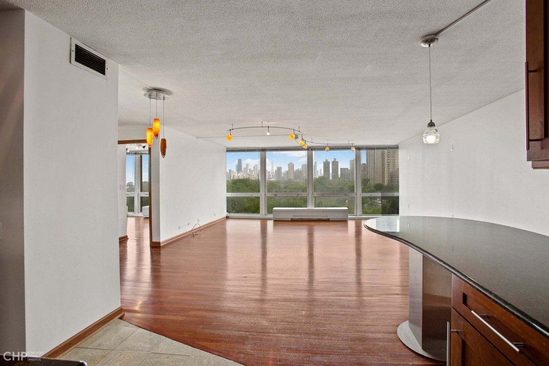Condominio a Chicago, Illinois, Stati Uniti 3 - 18776681