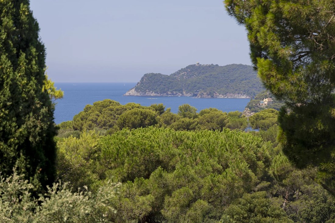 Villa en Costa Azul, Provenza-Alpes-Costa Azul, Francia 4 - 18777610