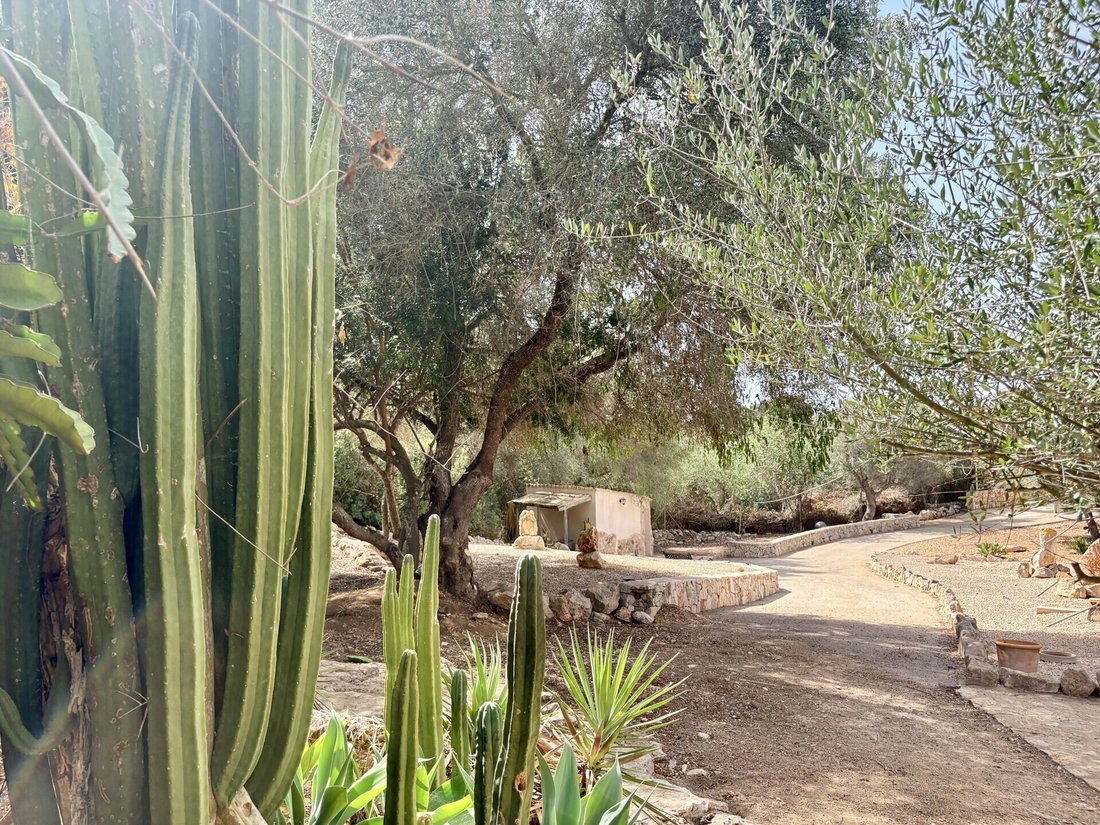 Finca à Santanyí, Îles Baléares, Espagne 2 - 18780046