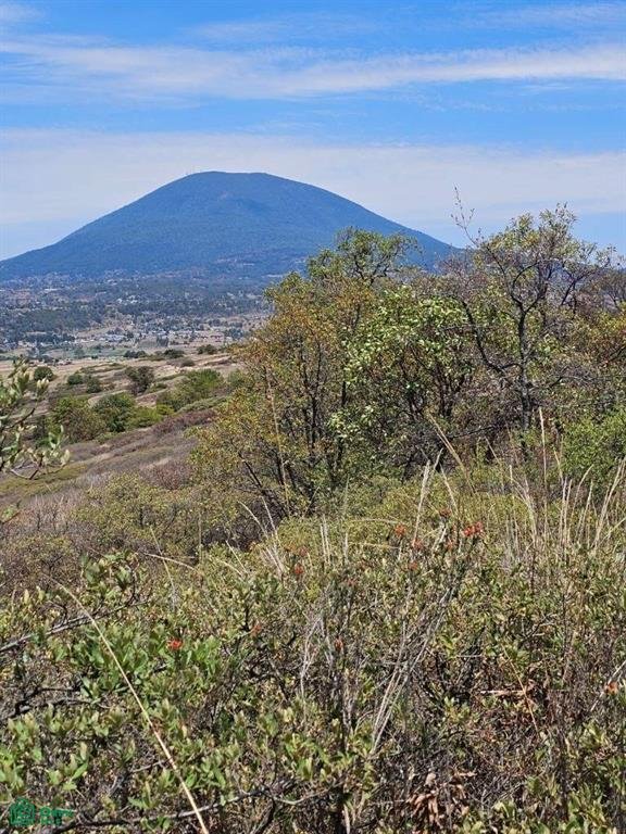 Terreno en San Bartolo Morelos, Estado de México, México 2 - 18778993